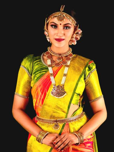 wedding-Sari-4
